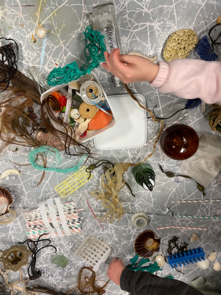 Havets avtrykk – en reise til&nbsp;Tareskogen